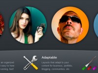 WordPress Buddypress Themes