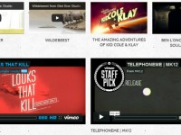 Wordpress Video Themes