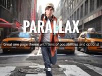Parallax Wordpress Themes