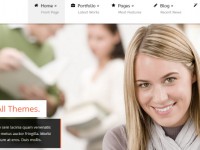 Wordpress Business Themes