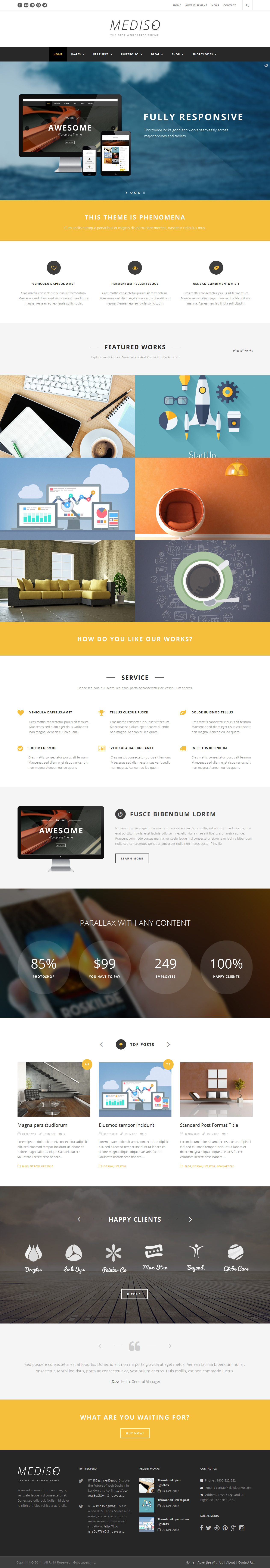 Mediso Theme