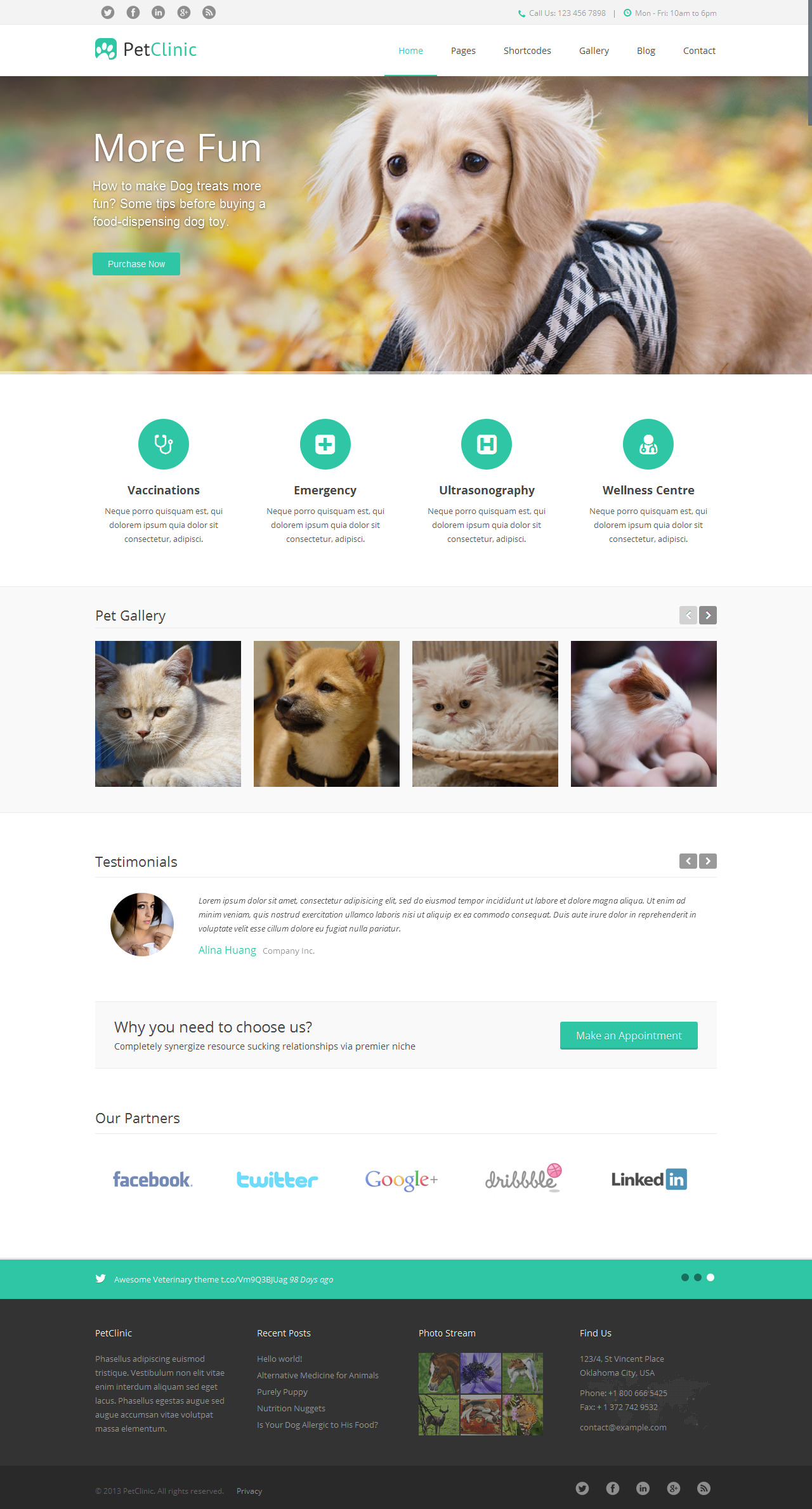 PetClinic Theme