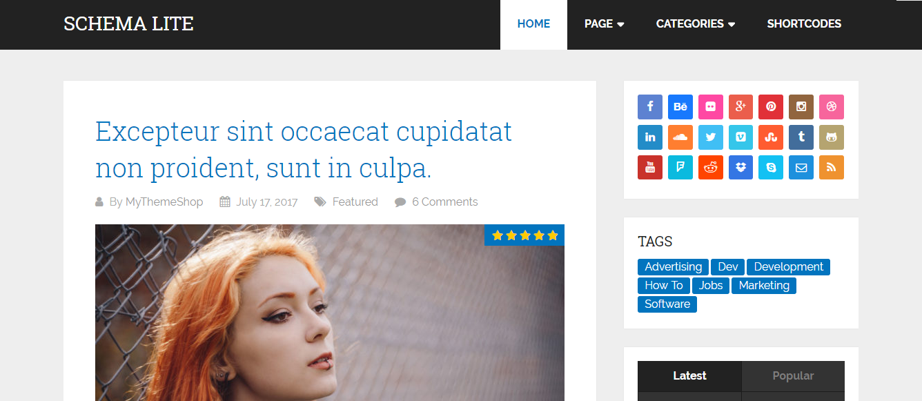 Schema lite theme